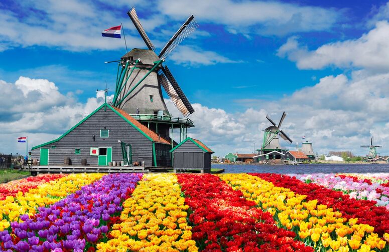 Elit Hollanda Amsterdam Turu THY ile 4 Gece Ekstra Turlar Dahil Kurban Bayramı Dönemi