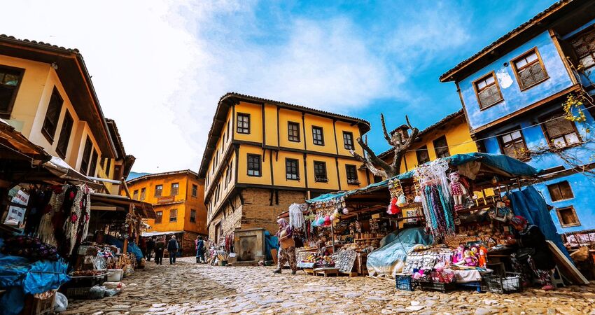 İznik Zeytin Hasadı ve Bursa Turu