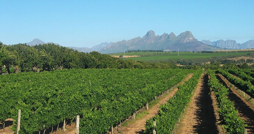 Dolu Dolu Güney Afrika & Botsvana & Victoria Şelaleleri Turu Rotası