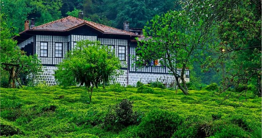 UÇAKLI KARS TİFLİS BATUM KARADENİZ TURU (Kurban Bayramı Özel)