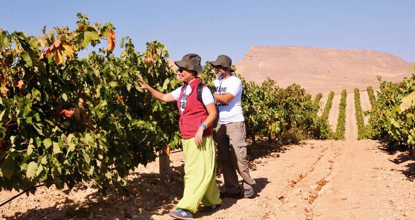 Ankara Çıkışlı Uçaklı Elazığ Bağ Bozumu Turu