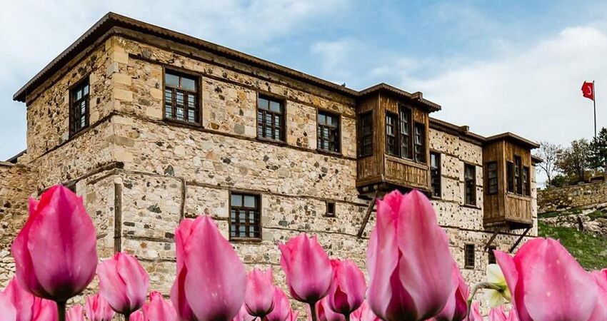 Ankara Çıkışlı Uçaklı Elazığ Bağ Bozumu Turu