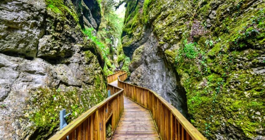 BATI KARADENİZ TURU