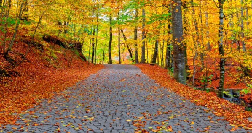 BATI KARADENİZ TURU