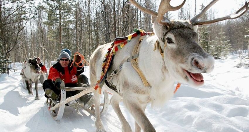 KUZEY IŞIKLARI RUSYA LAPLAND ARKTİK EKSPRES