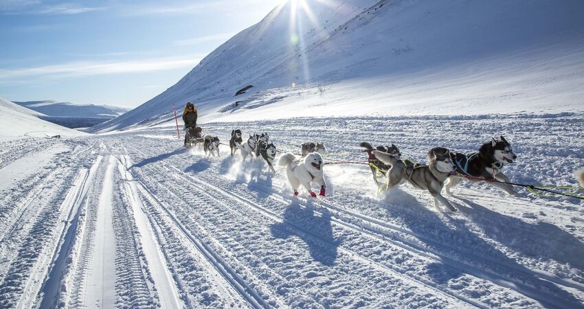 KUZEY IŞIKLARI RUSYA LAPLAND ARKTİK EKSPRES
