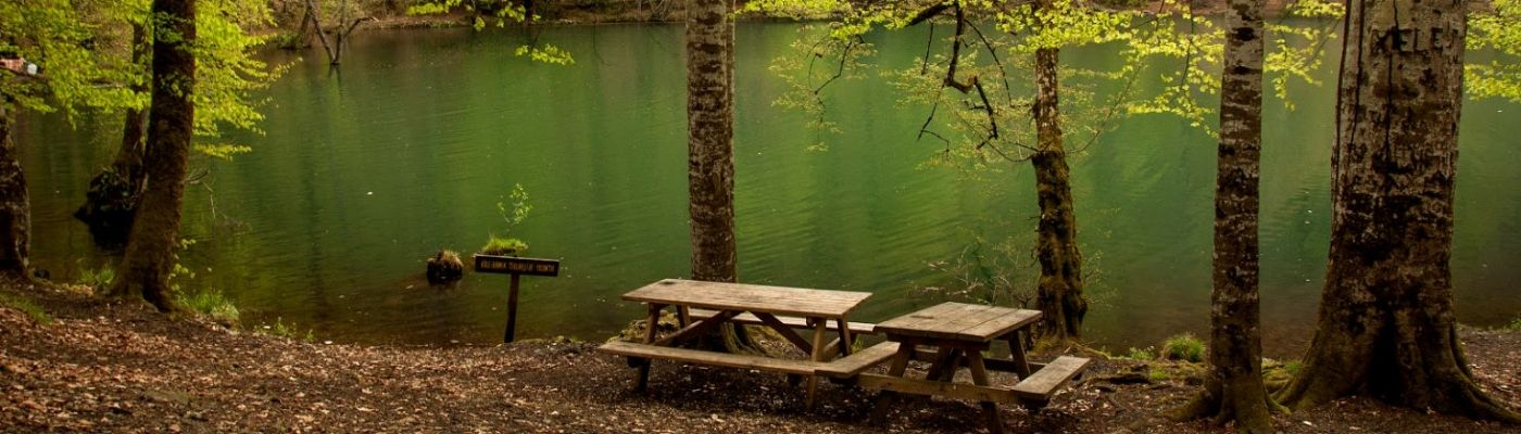 BATI KARADENİZ TURU