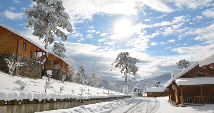 Karlar Altında Yenice Ormanları Turu