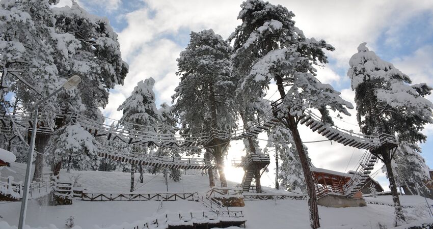 Karlar Altında Yenice Ormanları Turu