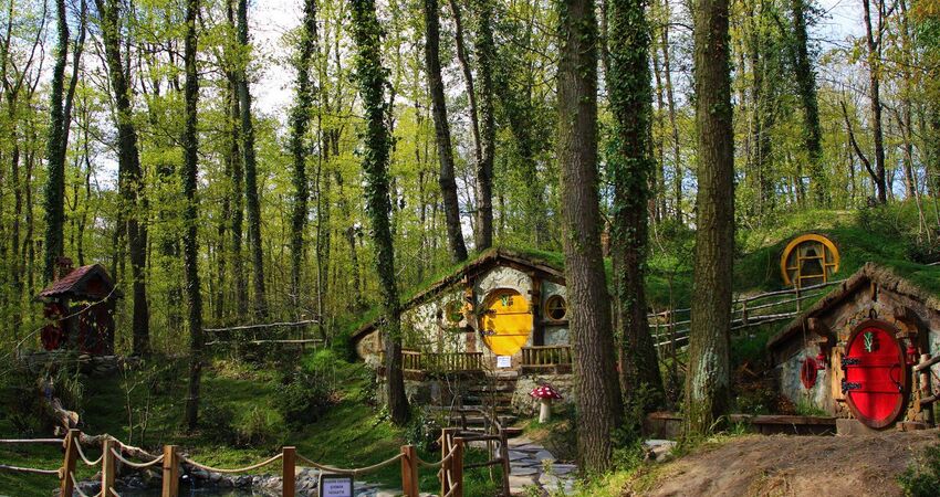 Sapanca Maşukiye Ormanya Turu