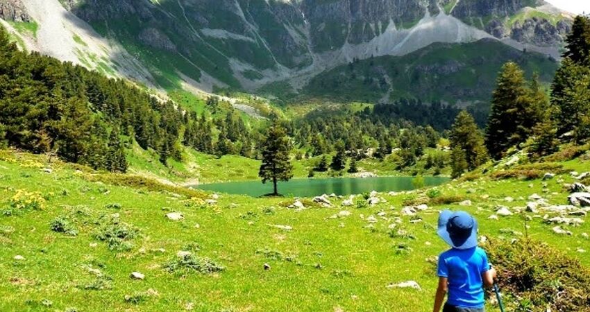 Karadeniz Yayla Turu Şavşat Macahel