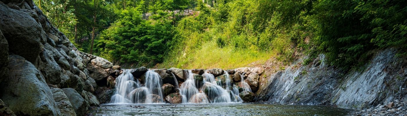 Sapanca Maşukiye Ormanya Turu