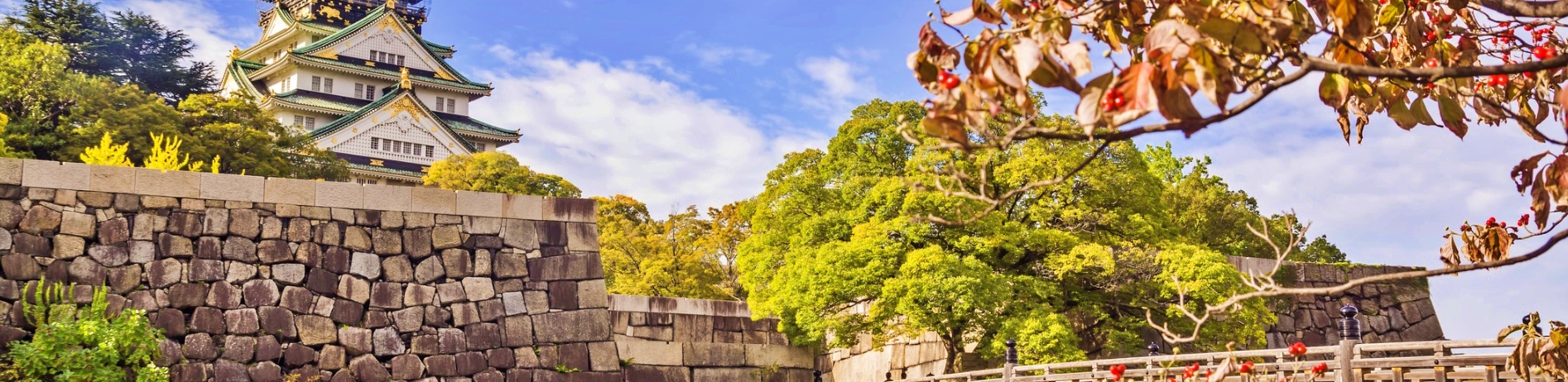 Elit Japonya Kore Turu THY ile 7 Gece Ekstra Turlar Dahil Sakura Dönemi