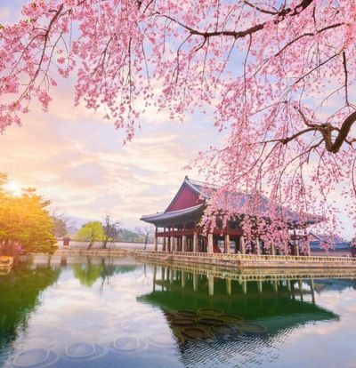 Elit Japonya Kore Turu THY ile 7 Gece Ekstra Turlar Dahil