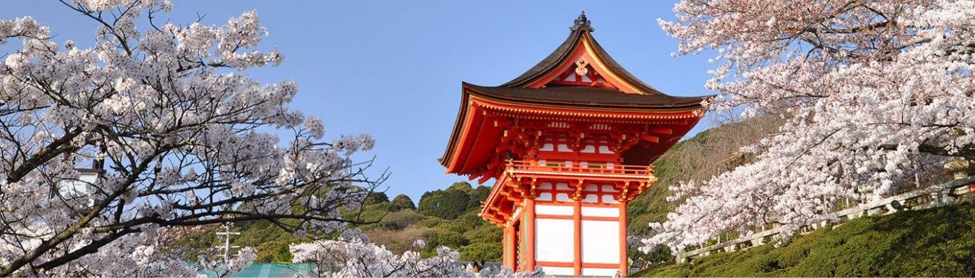 Elit Japonya Kore Turu THY ile 7 Gece Ekstra Turlar Dahil 10 Temmuz Çıkışlı