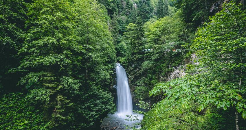 KARADENİZ YAYLALAR TURU (3 GECE)