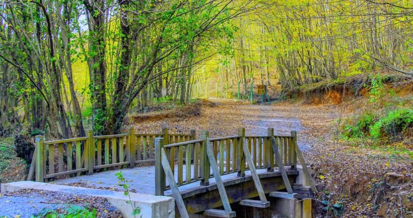 Ramazan Bayramı Şile Ağva Polonezköy Sapanca Turu