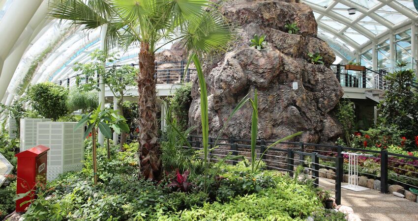 KONYA GASTRONOMİ VE ÇİLEK BAHÇESİ TURU 