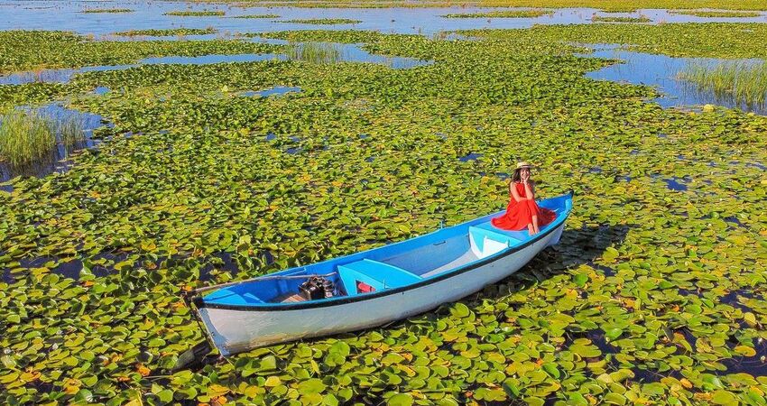 PAMUKKALE SALDA GÖLÜ IŞIKLI GÖL VE GÜL HASADI TURU 